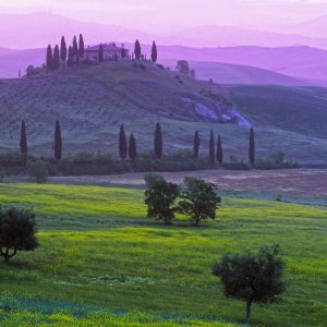 3281240 Podere Belvedere at Dawn, Val d'Orcia, Tuscany, Italy.jpg
