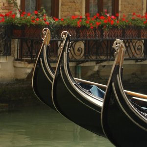 Gondolas, Venice, Italy.jpg